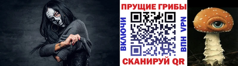 Псилоцибиновые грибы Psilocybe  Кострома 